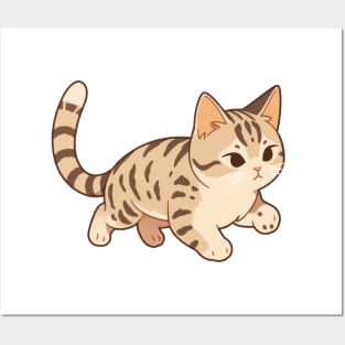 Cute American Shorthair Cat Posters and Art